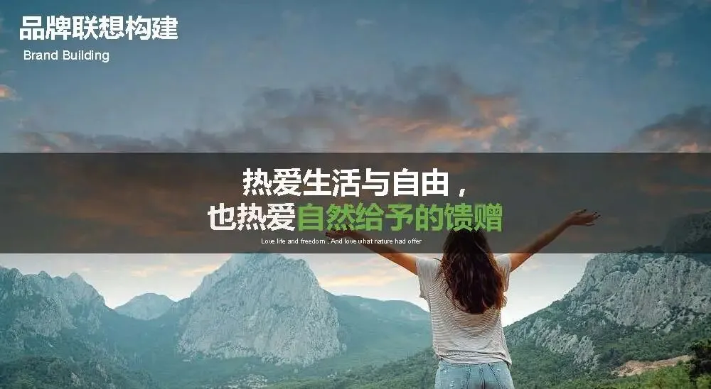 多特瑞66精油节方营销传播案112页