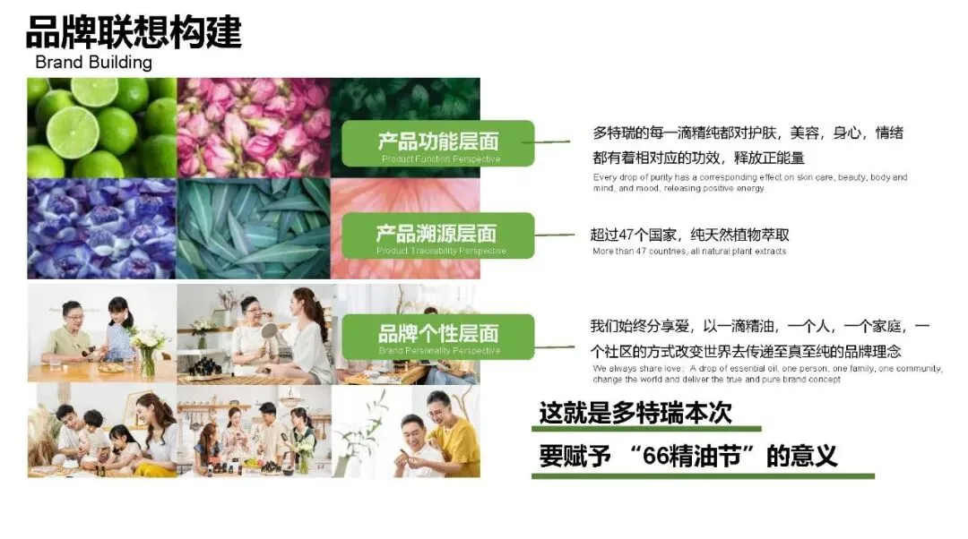 多特瑞66精油节方营销传播案112页