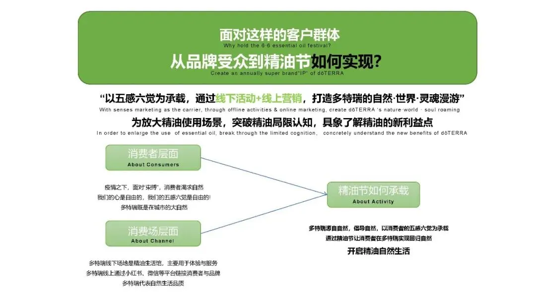 多特瑞66精油节方营销传播案112页