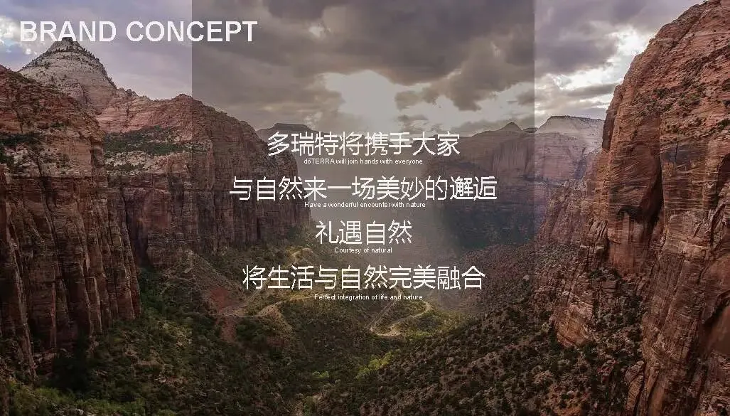 多特瑞66精油节方营销传播案112页