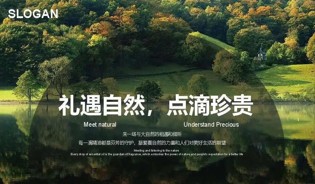 多特瑞66精油节方营销传播案112页