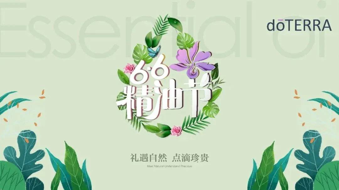 多特瑞66精油节方营销传播案112页