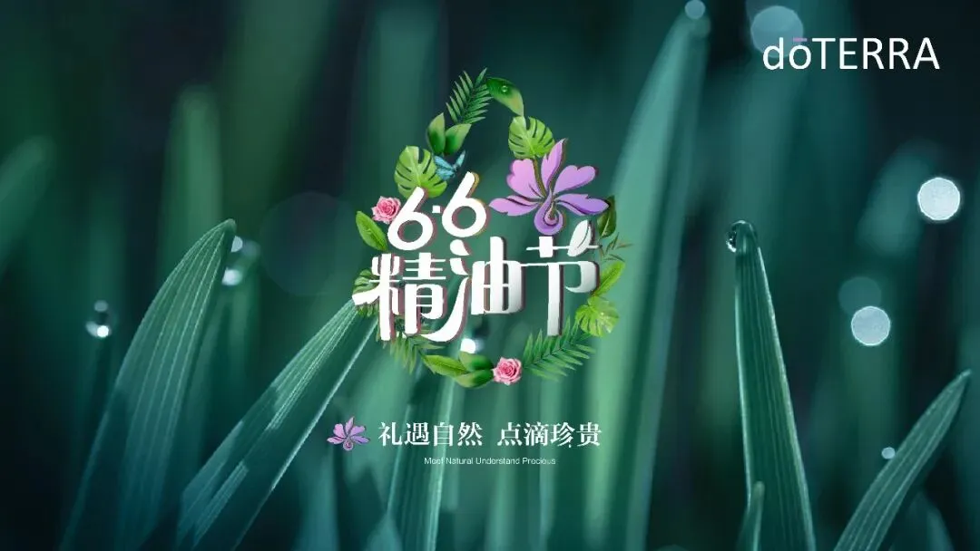 多特瑞66精油节方营销传播案112页