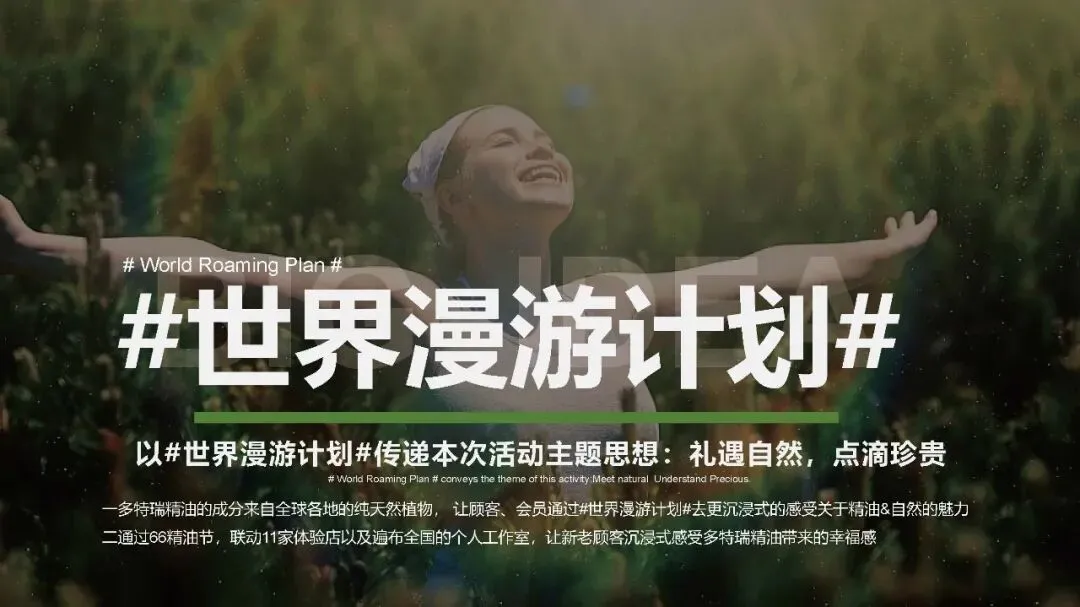 多特瑞66精油节方营销传播案112页