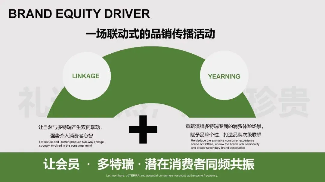 多特瑞66精油节方营销传播案112页