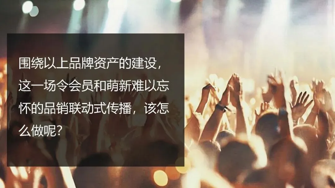 多特瑞66精油节方营销传播案112页