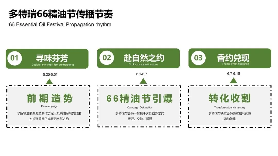 多特瑞66精油节方营销传播案112页