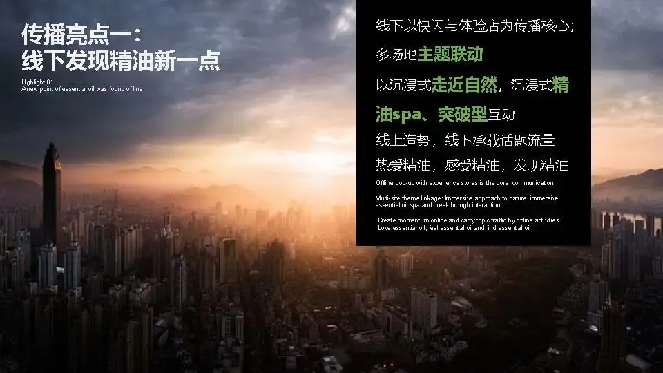 多特瑞66精油节方营销传播案112页