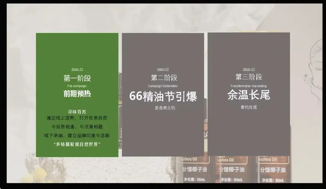 多特瑞66精油节方营销传播案112页