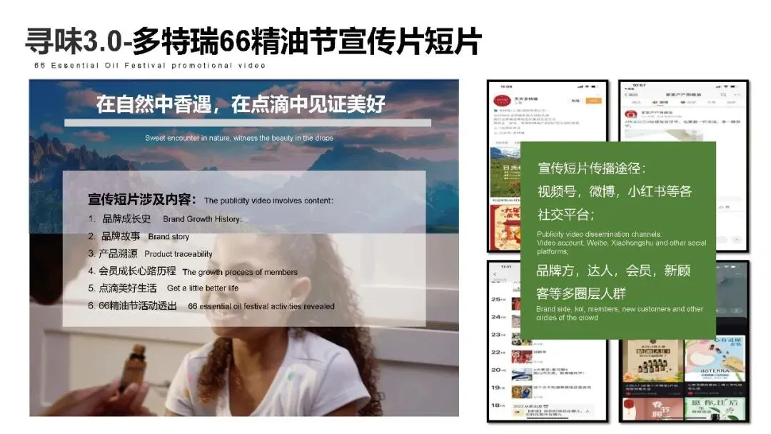 多特瑞66精油节方营销传播案112页