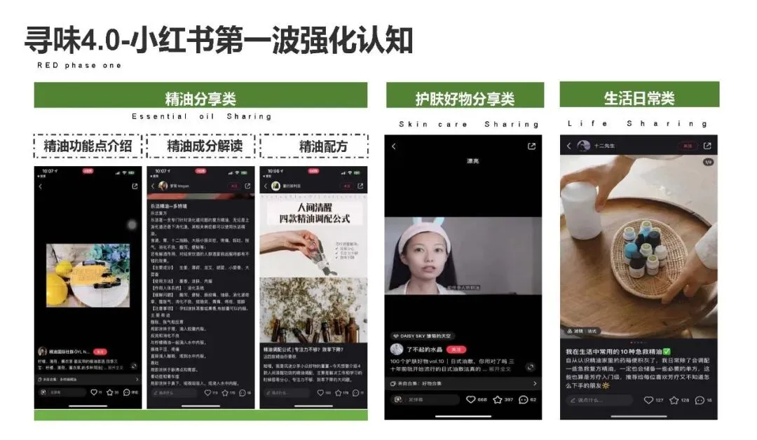 多特瑞66精油节方营销传播案112页