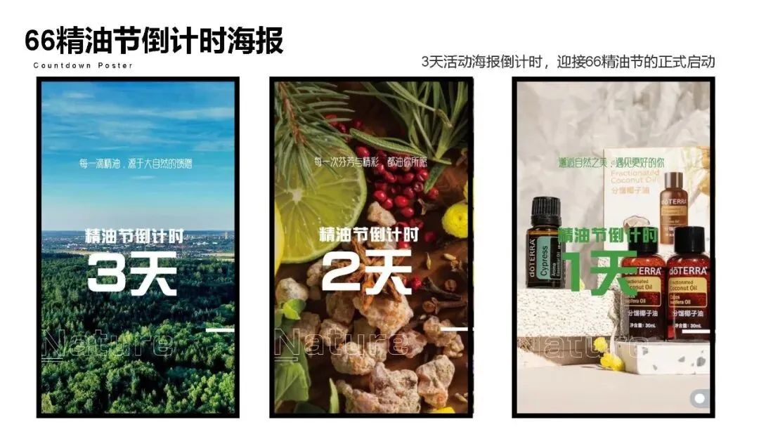 多特瑞66精油节方营销传播案112页