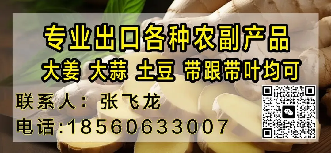 昌邑市场4月18日行情综述