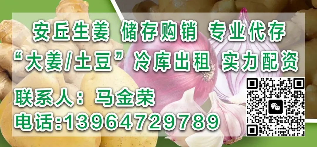 昌邑市场4月18日行情综述
