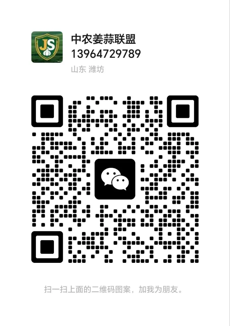 昌邑市场4月18日行情综述