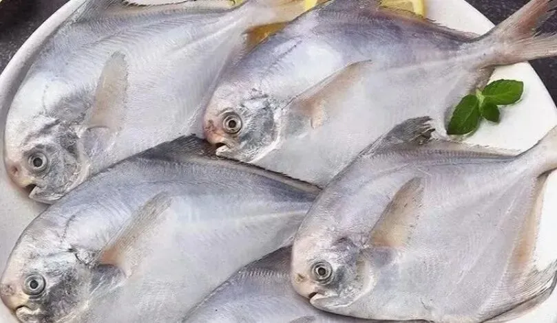 市场上这3种鱼,现在无法人工养殖,都是野生鱼,价格便宜营养高