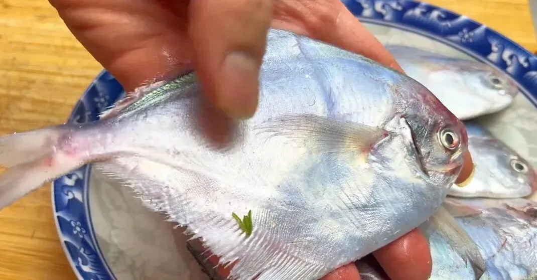 市场上这3种鱼,现在无法人工养殖,都是野生鱼,价格便宜营养高