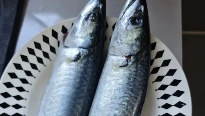 市场上这3种鱼,现在无法人工养殖,都是野生鱼,价格便宜营养高