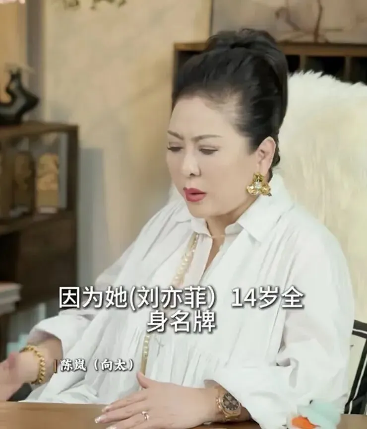 刘亦菲一边享受国内市场红利,一边不愿放弃美国国籍,所谓文化认同终究抵不过现实利益