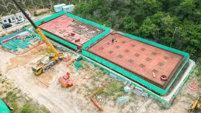 茂名早八点|“广货行天下”荔枝营销大力出圈,这场国家级盛事将在茂名举办