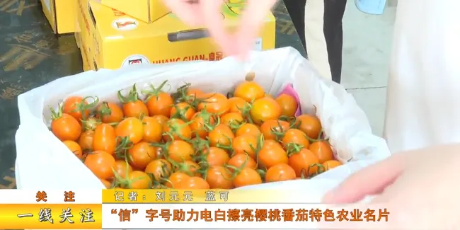 茂名早八点|“广货行天下”荔枝营销大力出圈,这场国家级盛事将在茂名举办