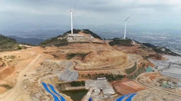 茂名早八点|“广货行天下”荔枝营销大力出圈,这场国家级盛事将在茂名举办