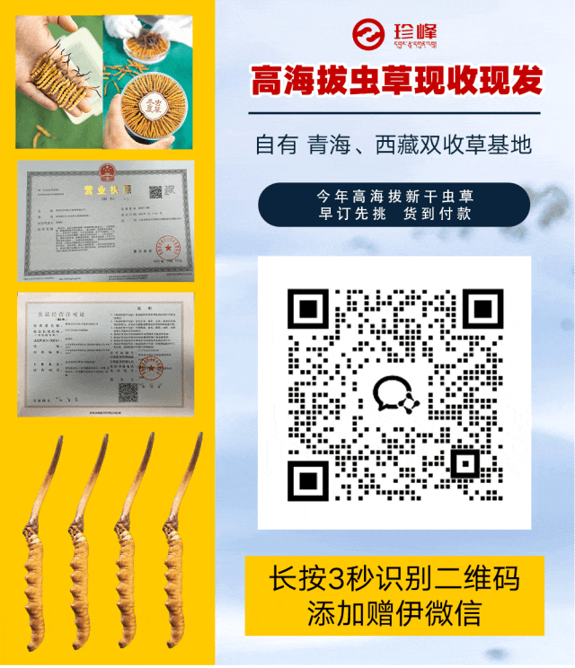 崩了,虫草市场暴大雷了