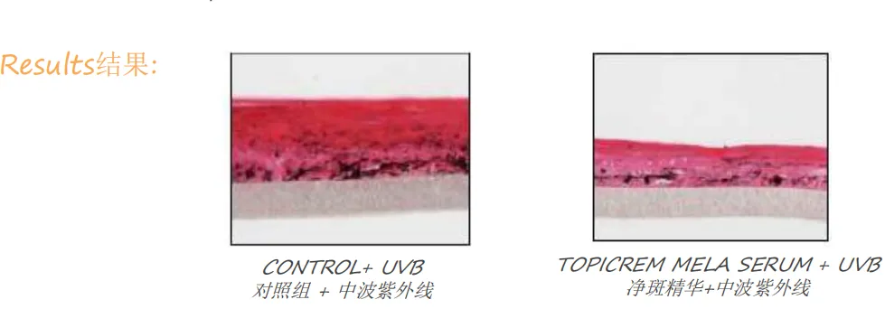 不会搞营销,但实力超猛的法国小众品牌,终于蹲到好价~
