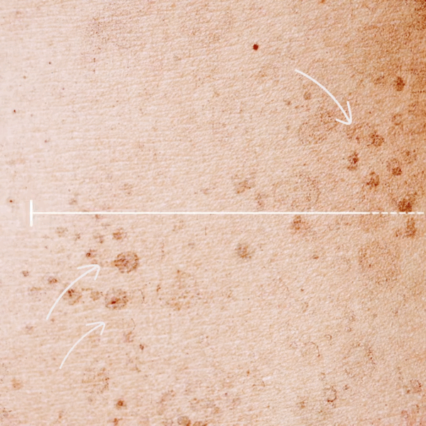 不会搞营销,但实力超猛的法国小众品牌,终于蹲到好价~