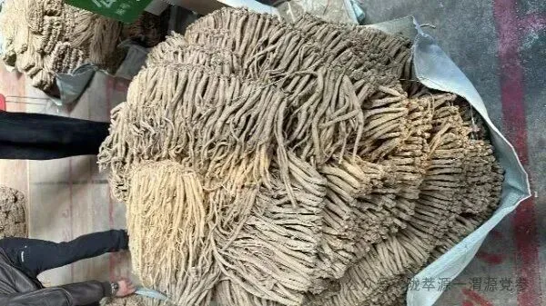 2026年4月18日首阳中药材市场快讯