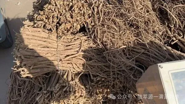 2026年4月18日首阳中药材市场快讯