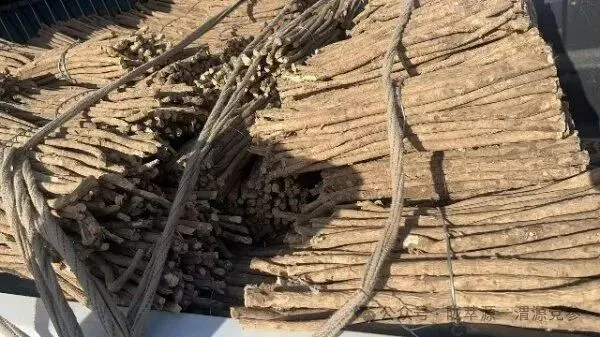 2026年4月18日首阳中药材市场快讯