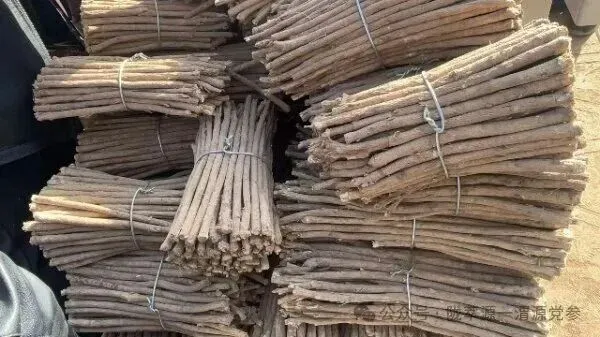 2026年4月18日首阳中药材市场快讯