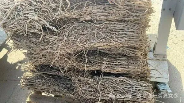 2026年4月18日首阳中药材市场快讯