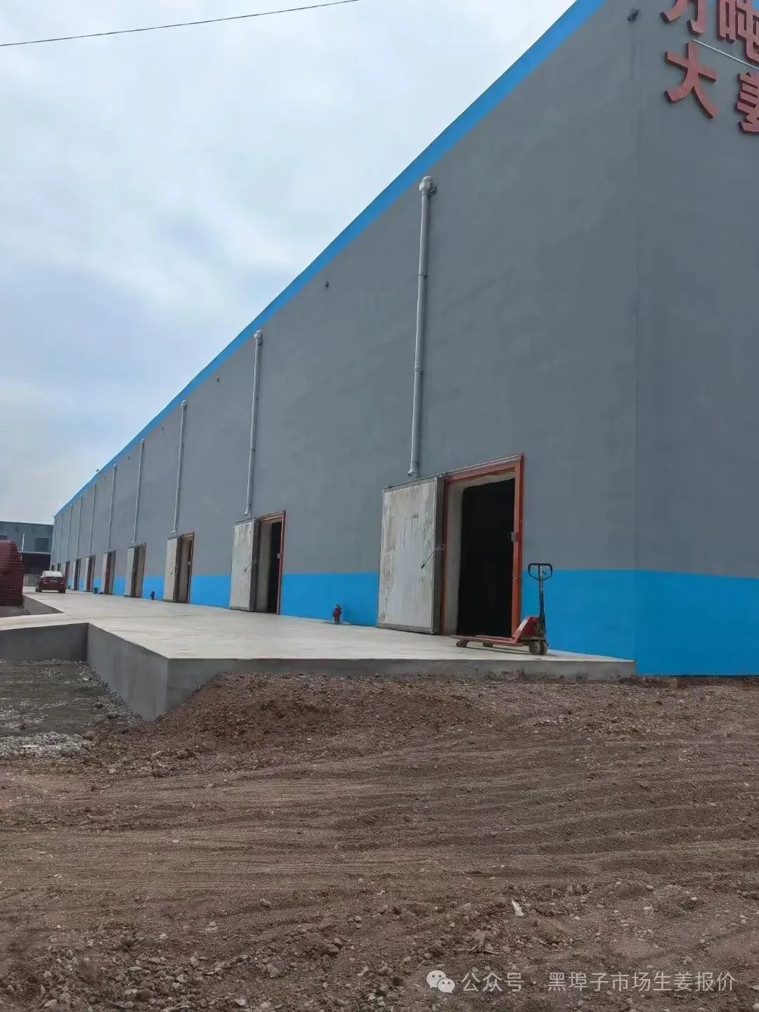 4月18号中午,黑埠子泥姜市场截止11点30市场上货不多,价格平稳,耘上免费开户而且给红包