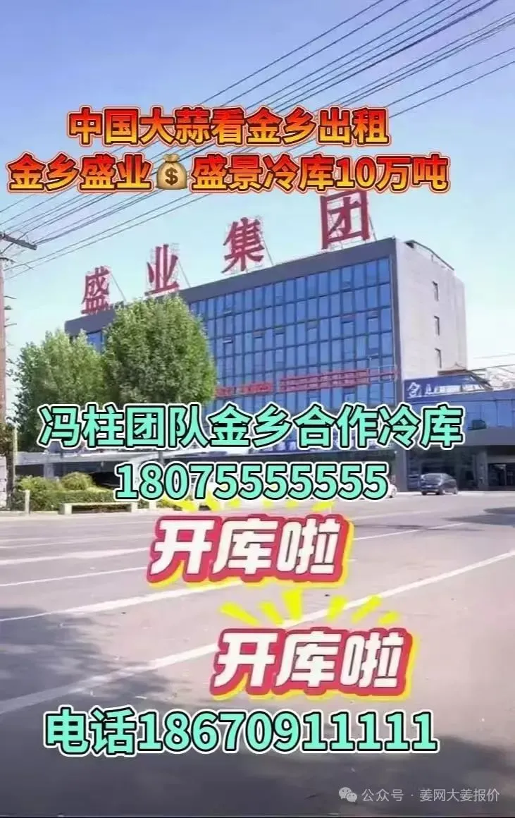 4月18号中午,黑埠子泥姜市场截止11点30市场上货不多,价格平稳,耘上免费开户而且给红包