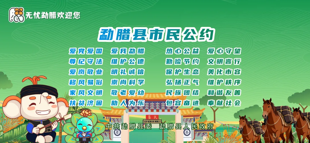 年报如期 诚信无界!云南省市场监管局温馨提示:依法年报 如实公示 远离失信