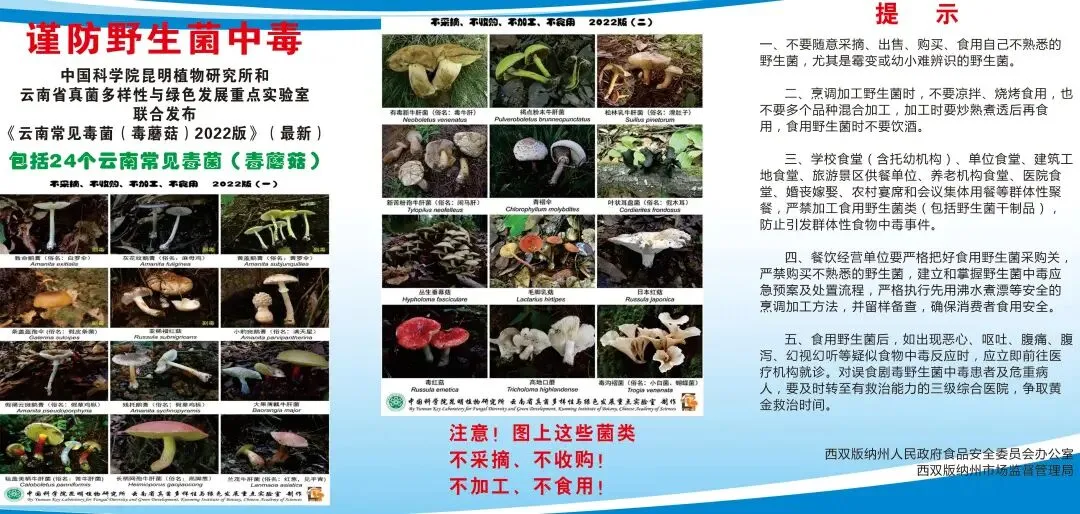 年报如期 诚信无界!云南省市场监管局温馨提示:依法年报 如实公示 远离失信