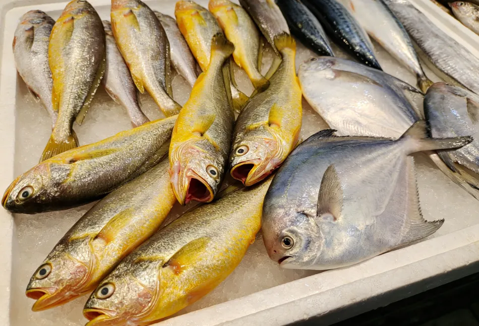 市场上遇到这6种鱼别手软,因无法人工养殖,好吃又营养,别错过