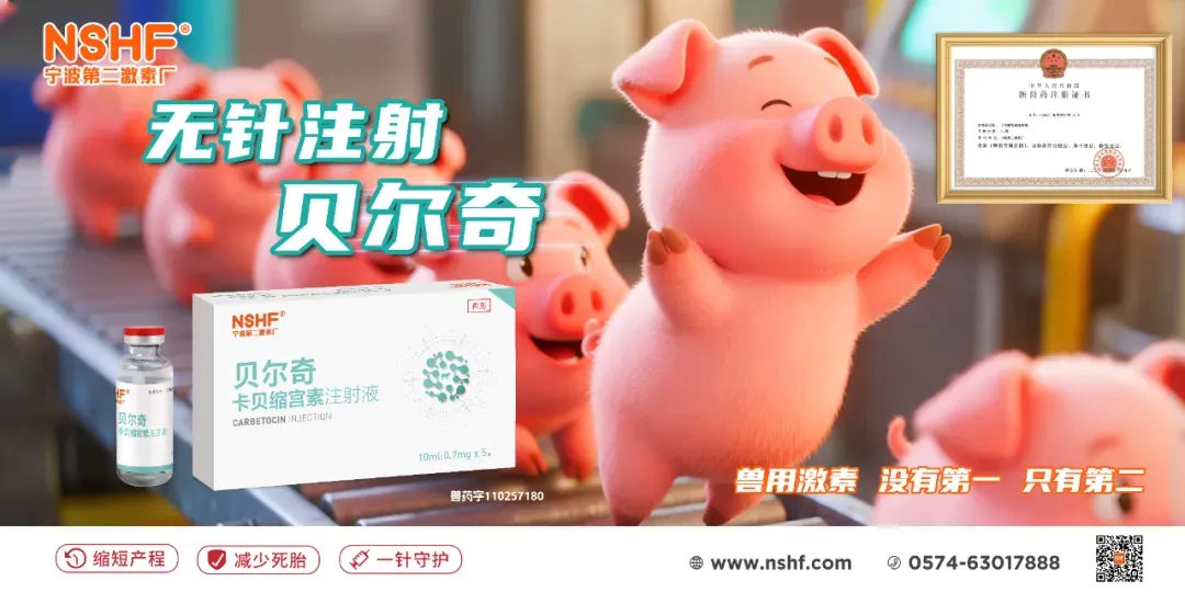 全面反弹!猪价连续两日大幅拉涨,市场发生了啥?