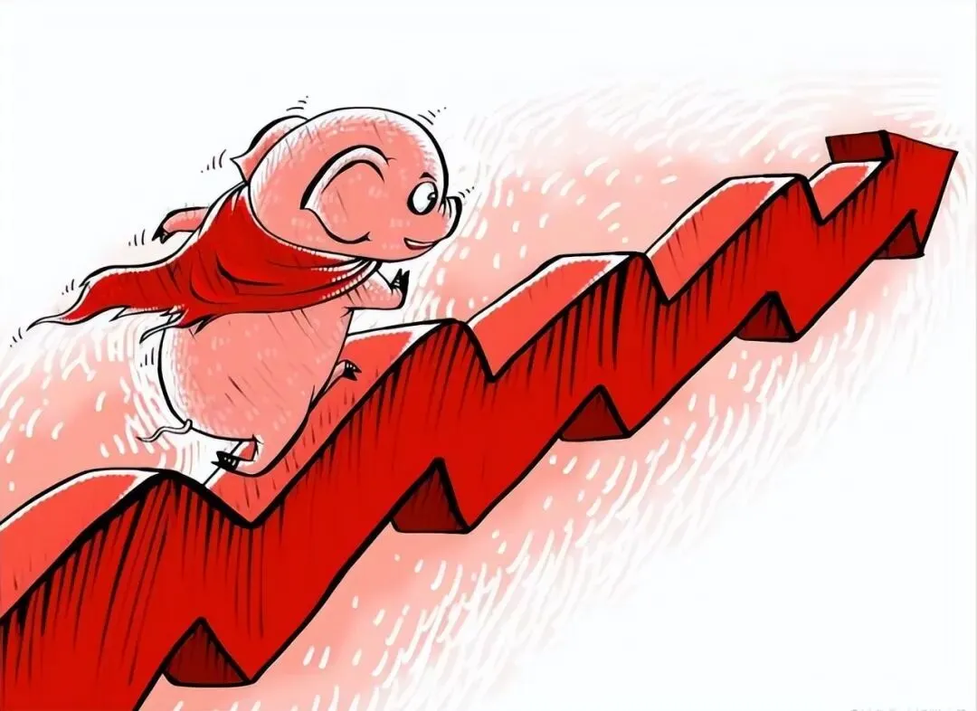 全面反弹!猪价连续两日大幅拉涨,市场发生了啥?