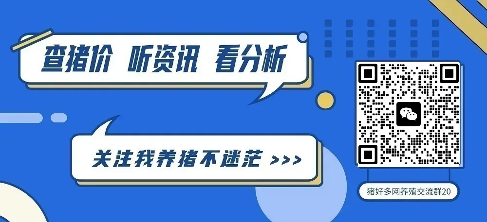 全面反弹!猪价连续两日大幅拉涨,市场发生了啥?