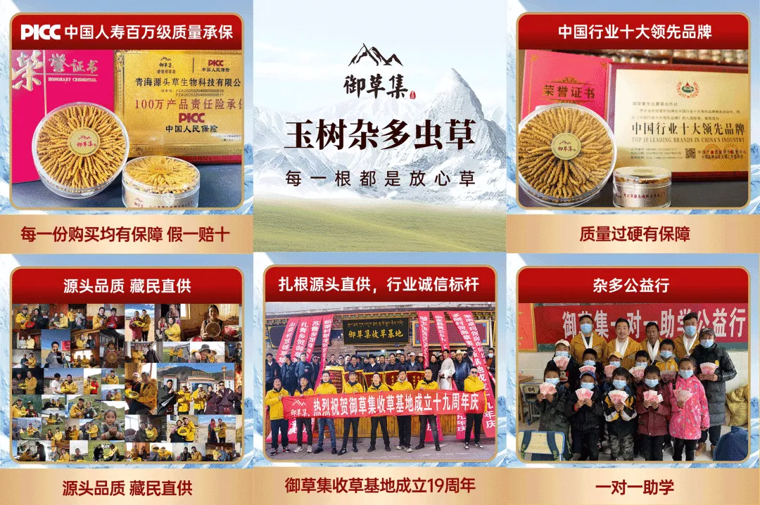 虫草市场的猛料,刺痛了很多人!!!