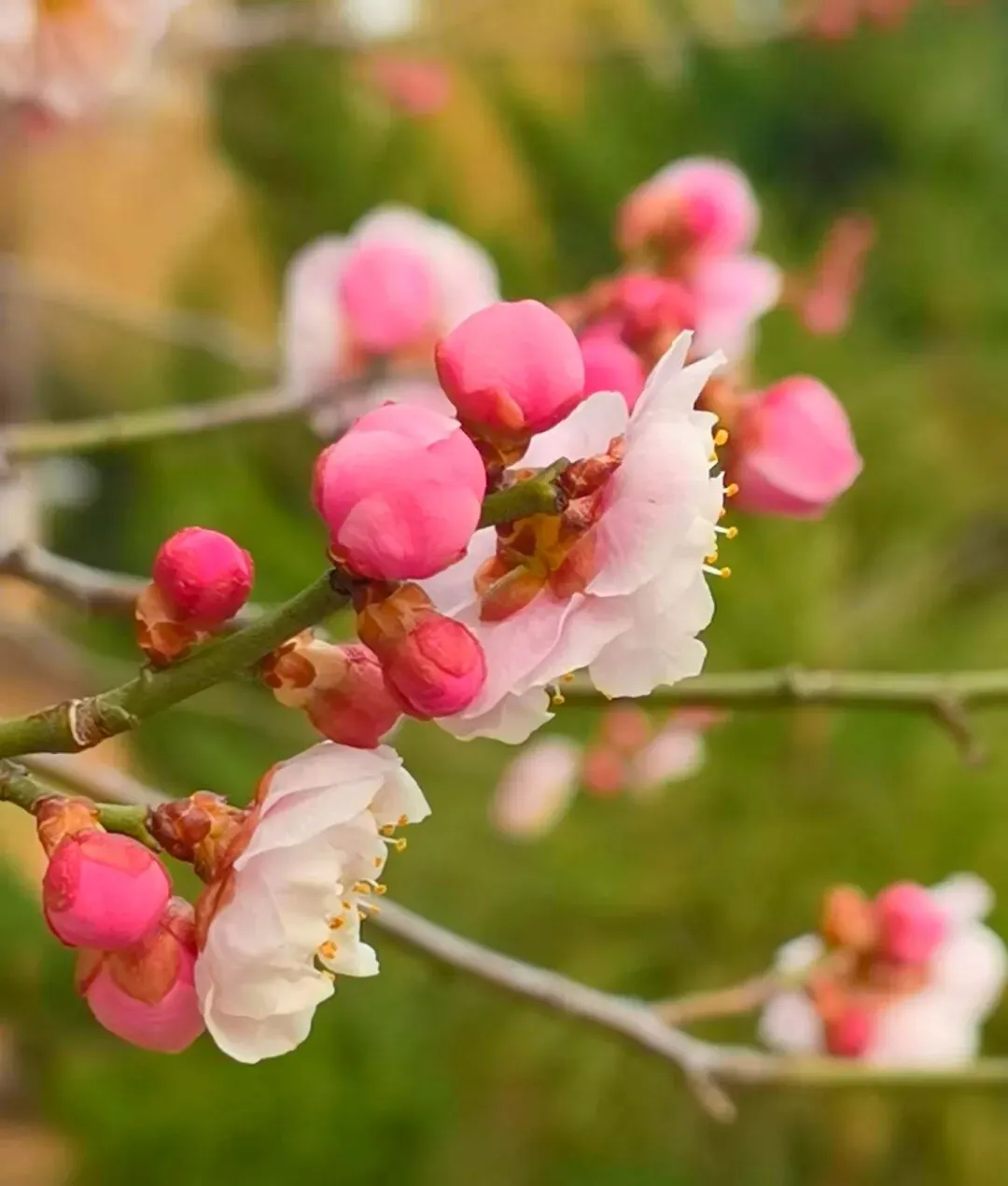 爆笑合集::那些在相亲市场被淘汰的,从来不只是条件!