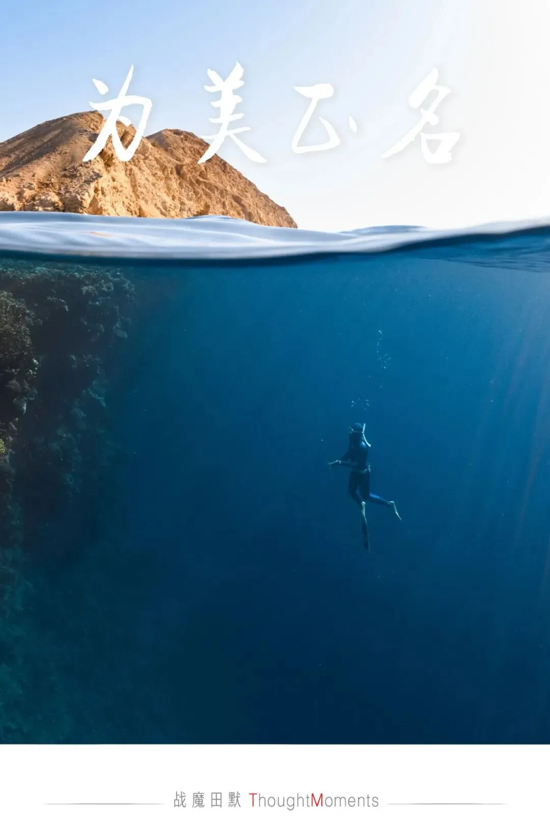 战魔田默|全球医美平台化现状:市场规模、平台类型与真实进展