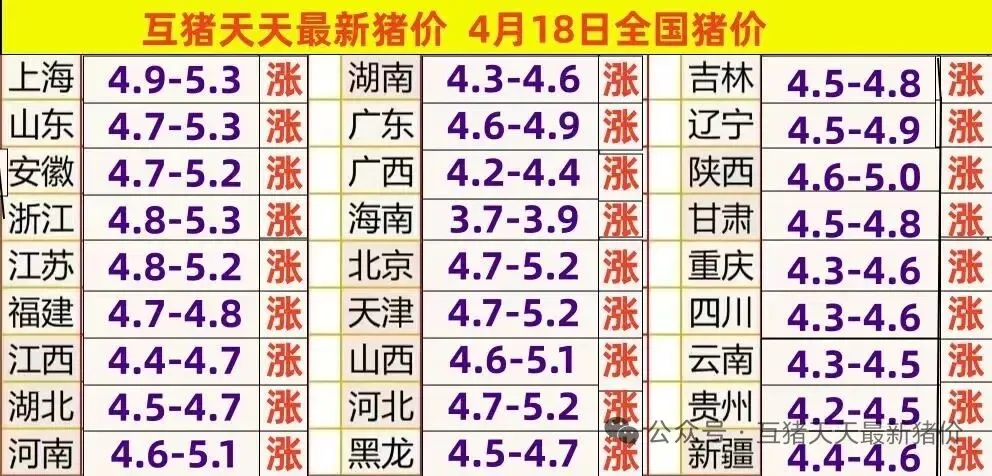 一片红!全面上涨!4.19 全国生猪市场价格汇总及行情简析