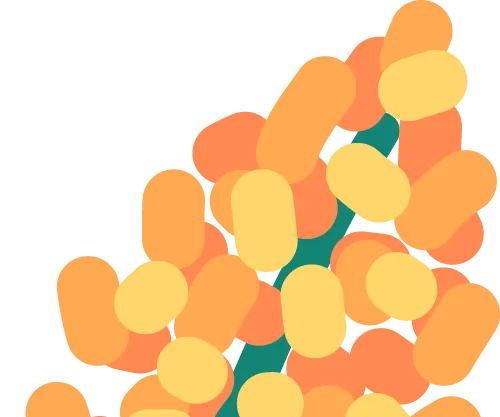 【班级风采】萌娃“趣”当家,跳蚤市场乐翻天–盐山县直幼儿园大一班主题活动大富翁之旅完结篇(三)