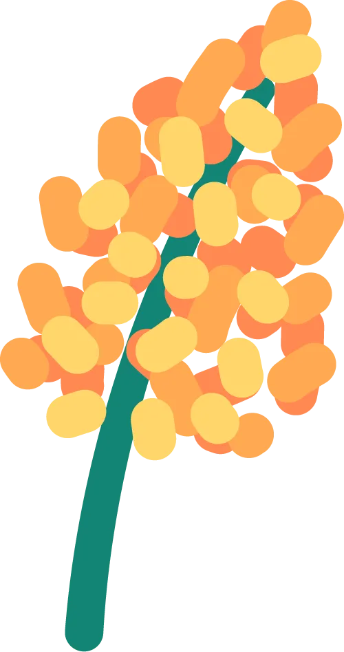 【班级风采】萌娃“趣”当家,跳蚤市场乐翻天–盐山县直幼儿园大一班主题活动大富翁之旅完结篇(三)