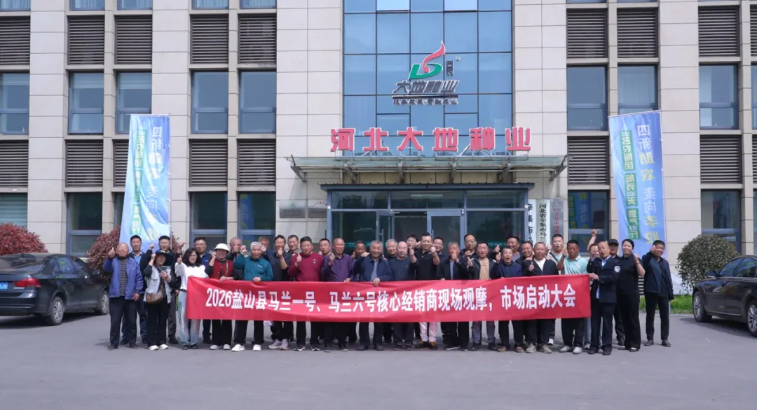 四新助农 麦向丰收 | 马兰1号盐山市场启动大会圆满成功