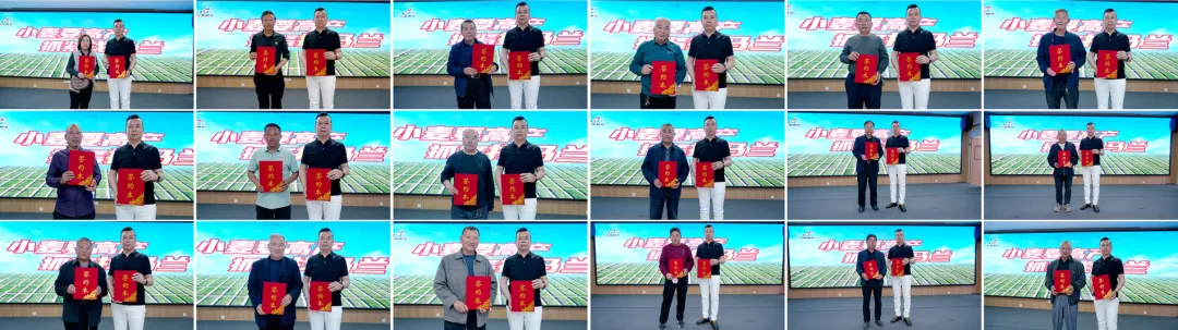 四新助农 麦向丰收 | 马兰1号盐山市场启动大会圆满成功